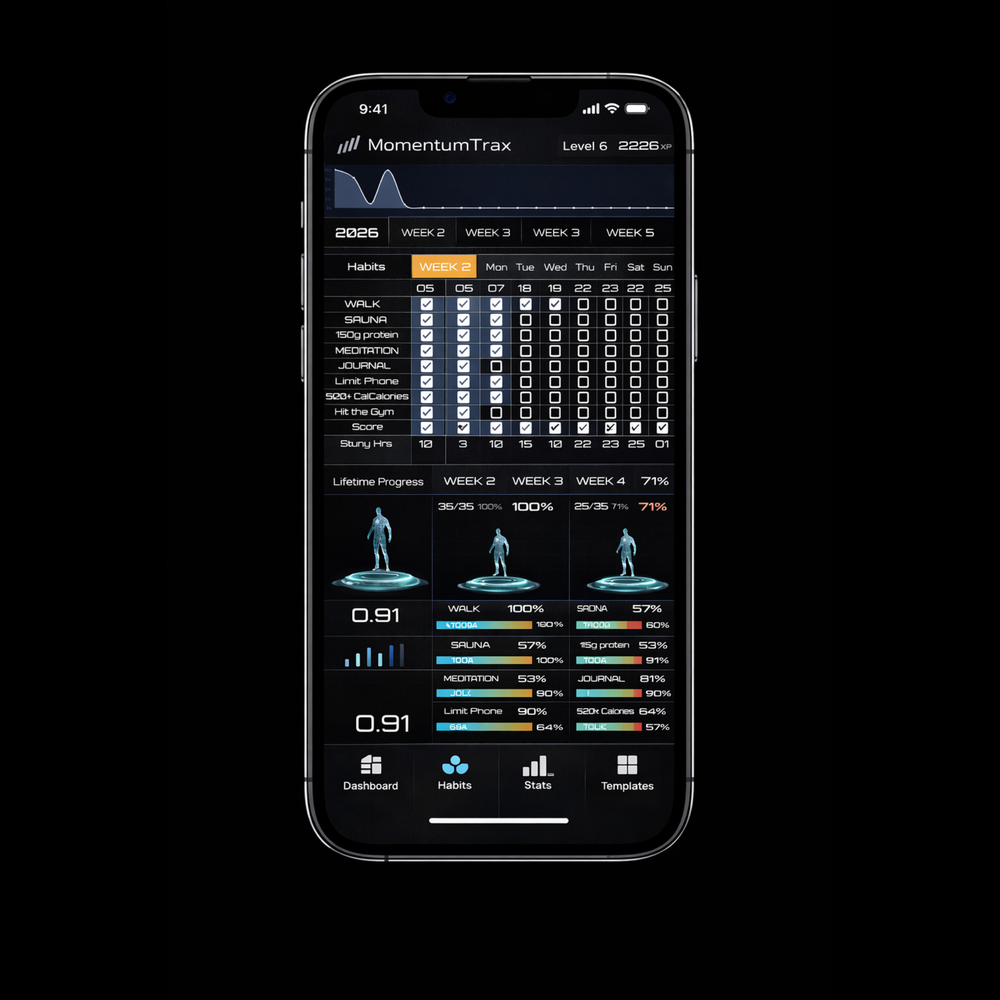 Momentum-Based Habit Tracker Dashboard (Digital Download)